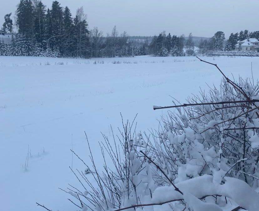 Siivous Rovaniemi – Heidi luo puhtautta ja raikkautta kotiisi
