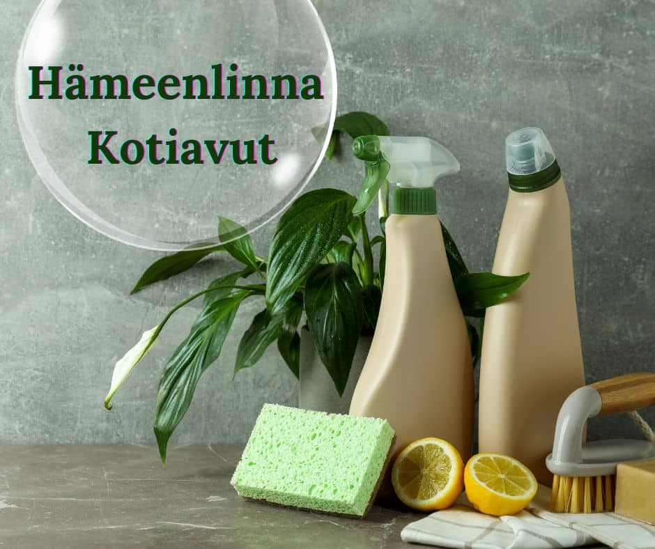 Kotisiivous Hämeenlinna. Tilattavissa myös ikkunanpesu Hämeenlinna.