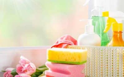 Kenelle kotisiivous sopii?